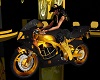 knight riders show bike