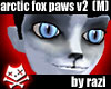 Arctic Fox Summer Paws