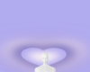 🌐Star  Blackground Æ