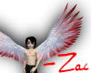 White Gore Angel Wings