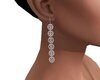 Elegant Drop Earrings 4