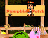 J | Cutest Pumpkins