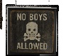 No Boys