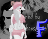Anyskin Sheep Lamb Furry