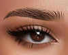 ✔ Brows T2