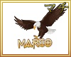 MK| Name Marco RQ