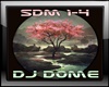 Blossom Tree DJ DOME