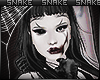 shulai 🐍