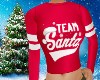 Team Santa Sweater F