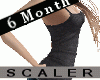 Pregnant Scale 6 Months
