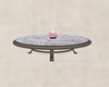 Low Coffee Table v1
