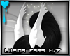 D~Lupina Ears: White