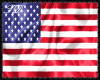 TD Copa America Flag USA