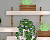Wall Plants