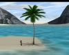 Animated Palm Tree