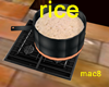 Pot of Rice