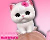 Cute Pink Kitty