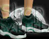 Air J 11