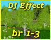 Birch Trees Effect