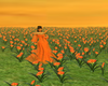 XK*Sunset Garden