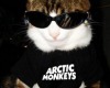 Cutout Arctic Monkeys