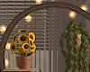 Fall Plant Shelf/Lights
