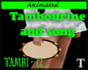 Tambourine + Song TAMB1