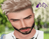 MT HEAD 2
