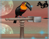 A3D* Toucan