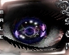 Chelsea Purple-Black eye
