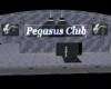 Tyger Pegasus Club