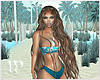 Summer Tropical To Beach