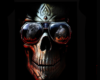 SKULL >HF<