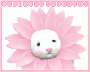 ♡ spring bun
