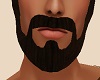 Dark  Beard