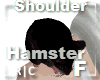 R|C Hamster Black F