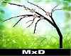 Mxda tree with flowers 1