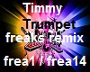 timmy trumpet remix