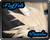 F|Kitten S. Tuff M/F