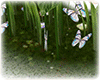 Spring addon