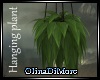 (OD) Hanging plant
