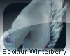 [c4z]Backfur Winterberry