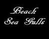 SC Beach Sea Gulls