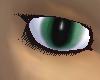 Gorgeous Green Eyes