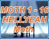 Moth HELLYEAN