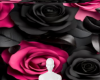 Pink black roses bg