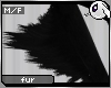 ~Dc) Black Kitty Arm Fur