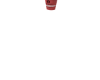 Roman Raspberry Sorbetto