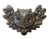 Bronze Owl plaque