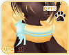 [Pets] Theo | collar v1